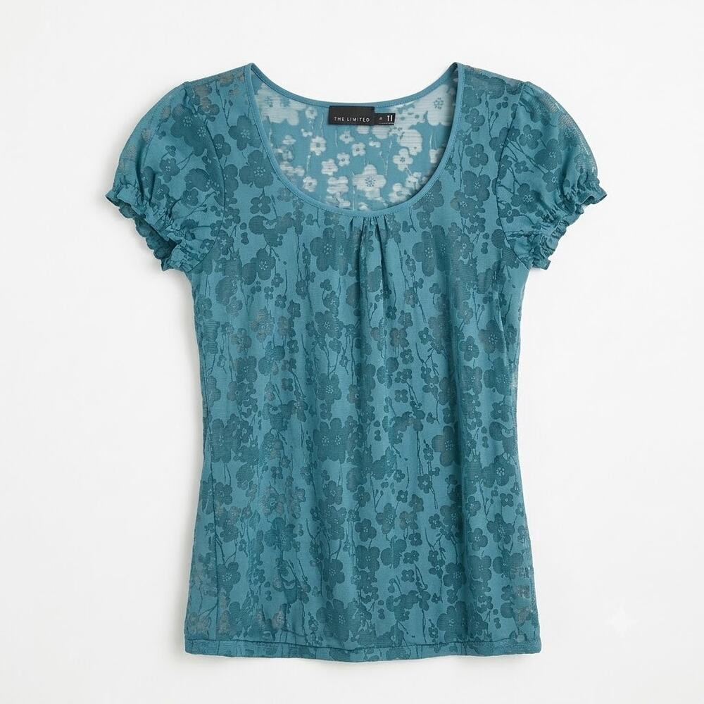 The Limited Sheer Floral Lace Tee Blue Cap Sleeve Scoop Neck Womens Small